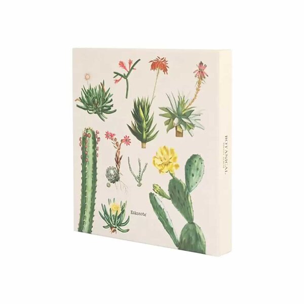 ALBUM FOTO BOTANICAL CACTUS 200 TASCHE - 13x20cm